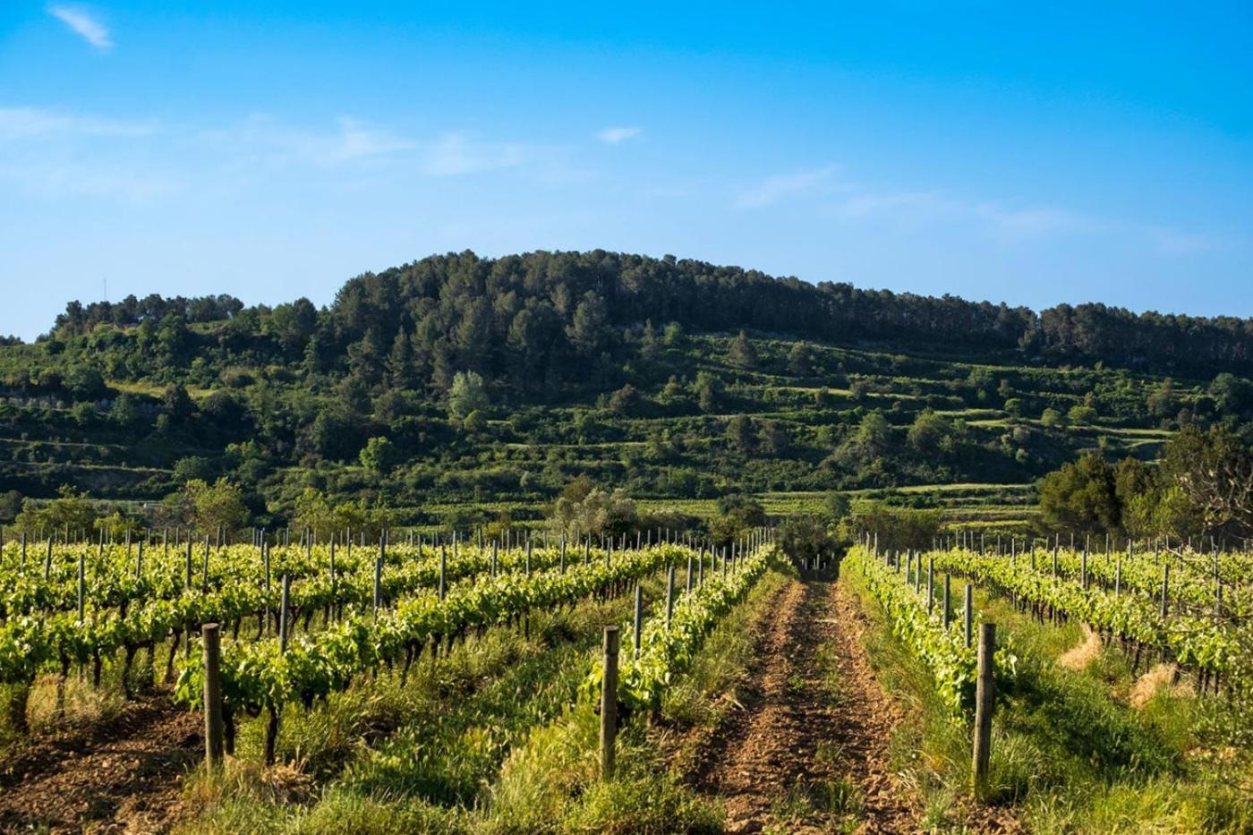 Hotel Air Penedes Вілафранка-дель-Пенедес Екстер'єр фото
